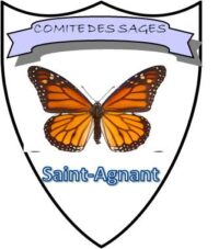 Comité des sages